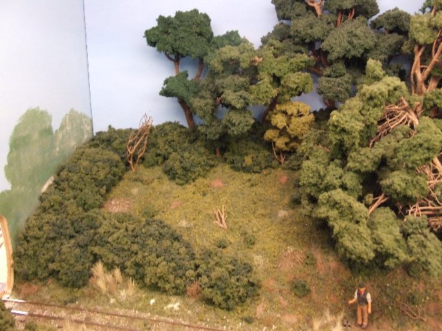 Dscf5545.jpg