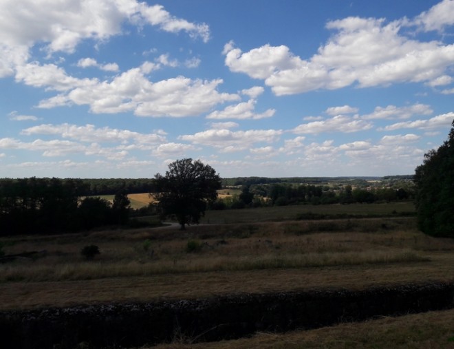 20180729_161423.jpg