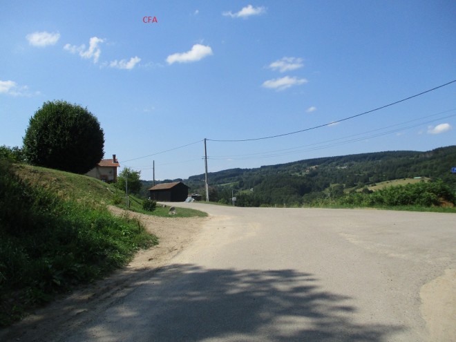 IMG_2444.jpg1.jpg