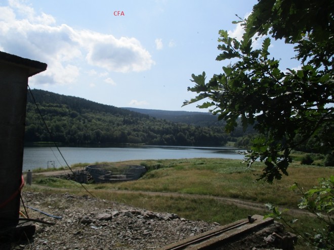 IMG_2460.jpg1.jpg