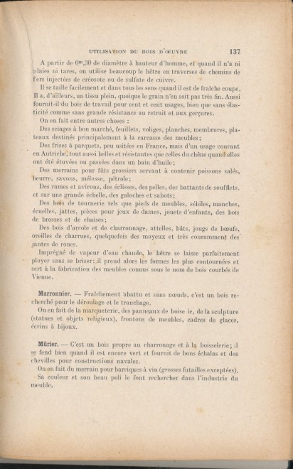 Exploitations Forestières et Scieries 1931 137.jpg