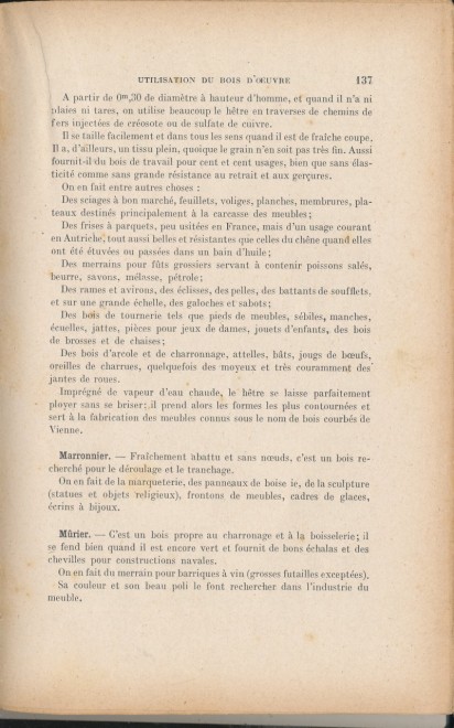 Exploitations Forestières et Scieries 1931 137.jpg