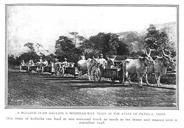 early Patiala.jpg