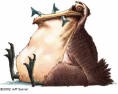 pelican avatar.jpg
