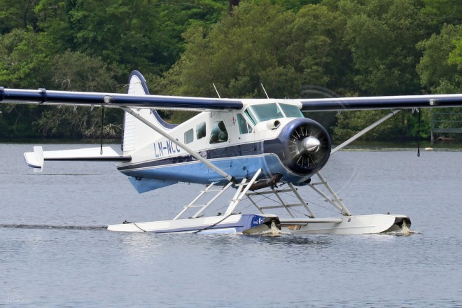 Beaver à Bisca.jpg