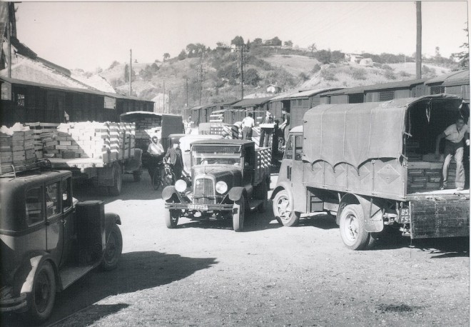 Cavaillon-1950-03.jpg