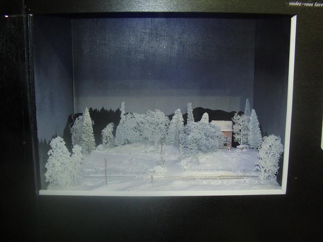 expom20site.jpg