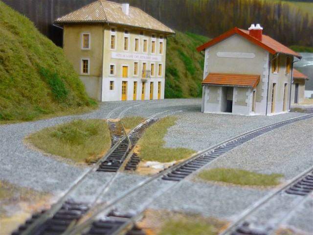 P1010153.JPG