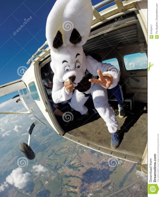 Lapin s'envoie en l'air..jpg