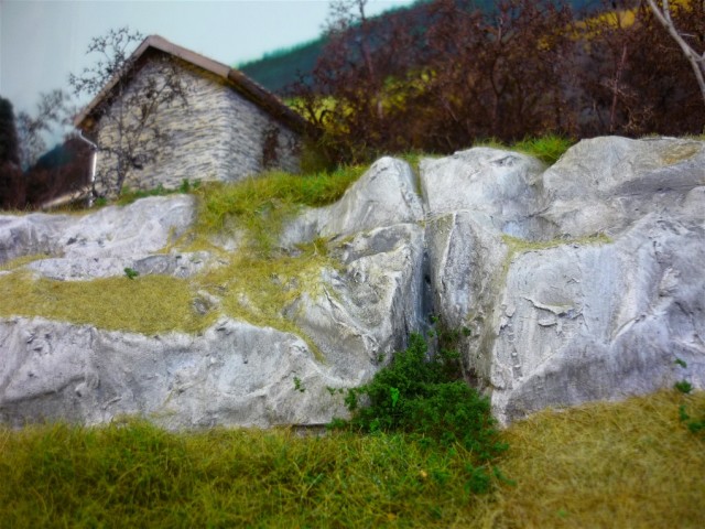 P1010228.JPG