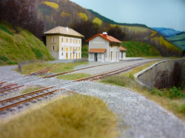 P1010238.JPG