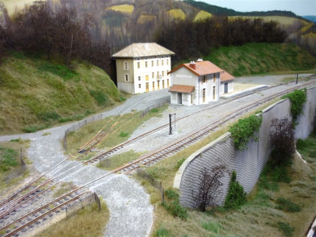 P1010270.JPG