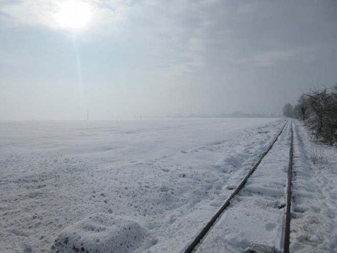 2019 01 24, LA DERNIERE LIGNE DROITE SOUS LA NEIGE_008.jpg