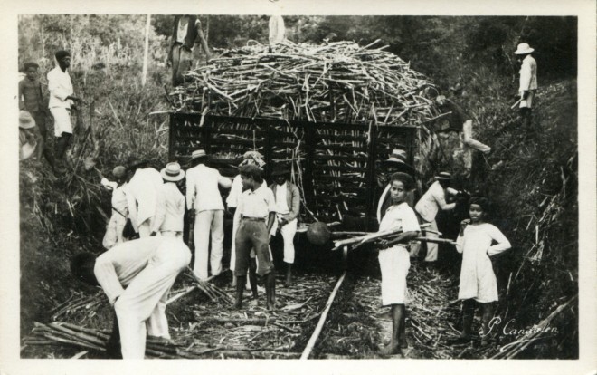 971 - GUADELOUPE - Canne à sucre en wagon.jpg