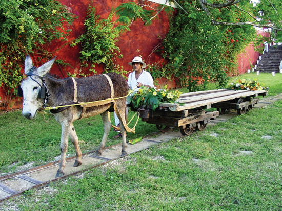 yucatan hacienda temozon voie de 45.jpeg
