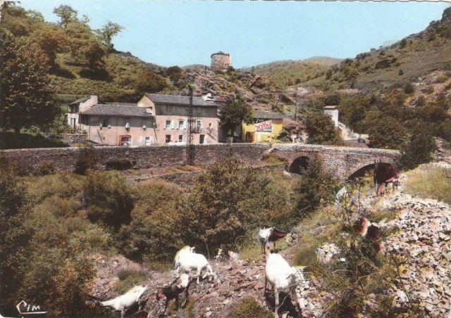 48 St Julien d'Arpaon pont sur Mimente 1960 3€.jpg