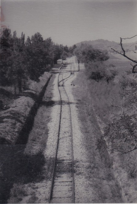13 - Meyrargues Ligne CP aux abords de la gare.jpg