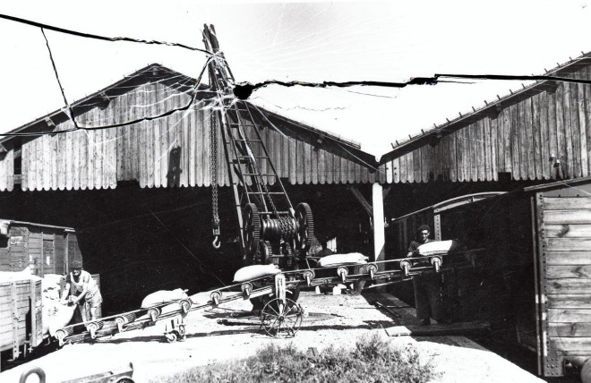 négatif Pérève 021 Camargue.jpg