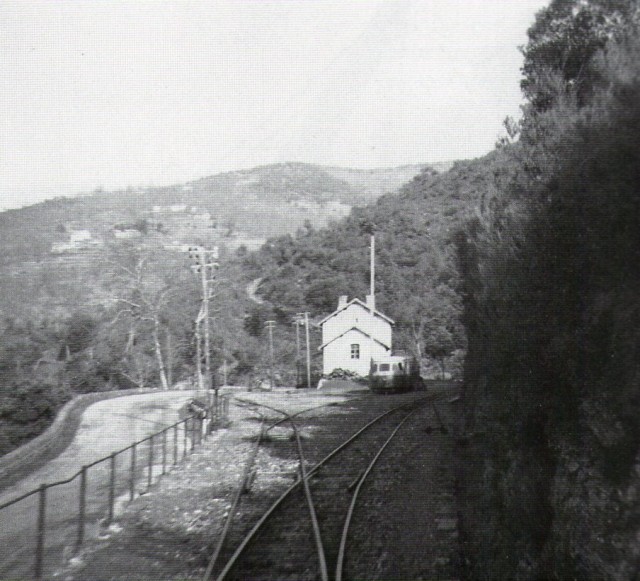 img033.jpg