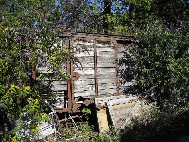 DSCN5882.JPG
