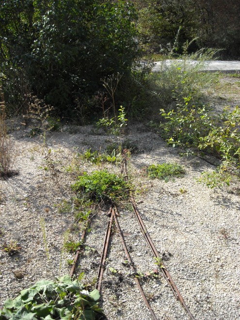 DSCN6658.JPG