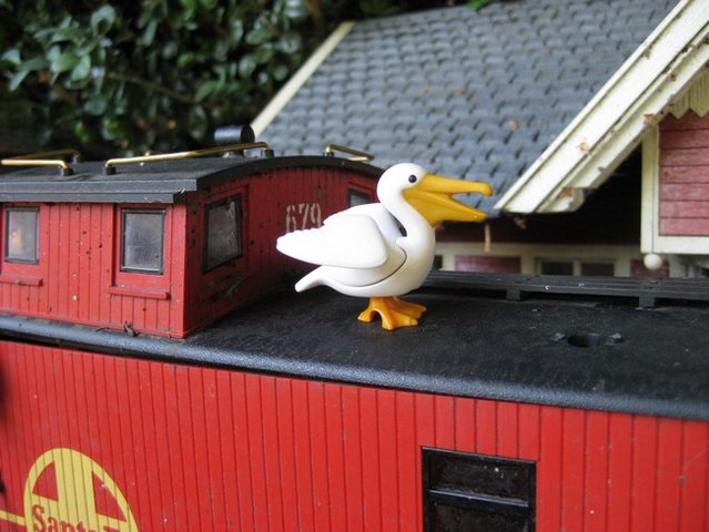 pelican playmo.jpg