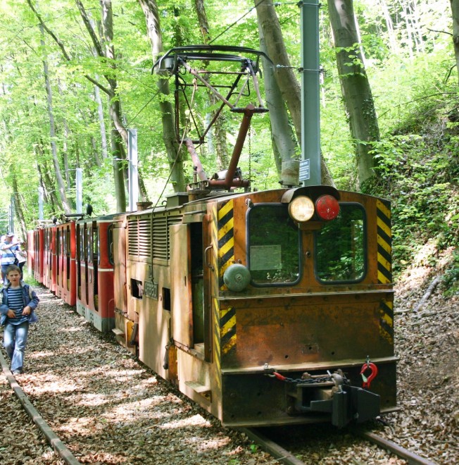 Fond de Gras 2011 (7).jpg
