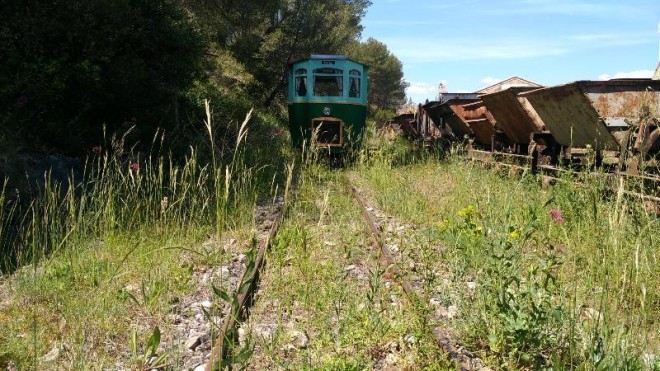 herbes.jpg