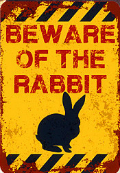 rabbit.jpg
