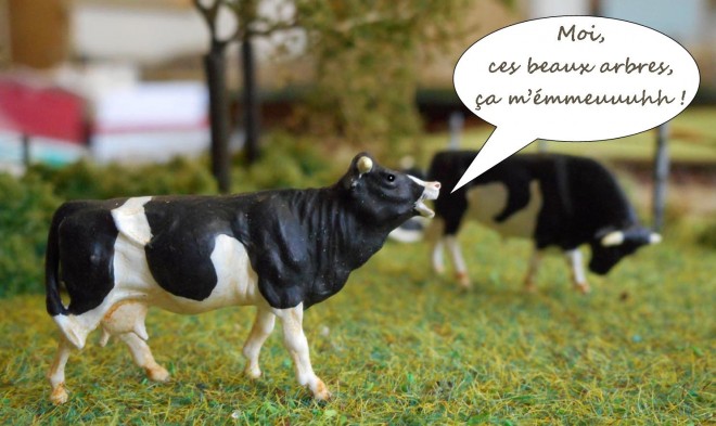 Halte St Just au RCO (21a).jpg