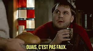 c'est pas faux.jpg