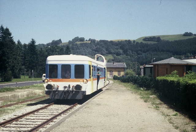 CFHA 1.jpg