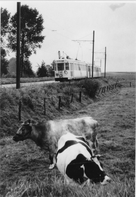 PME Leerbeek 6..jpg