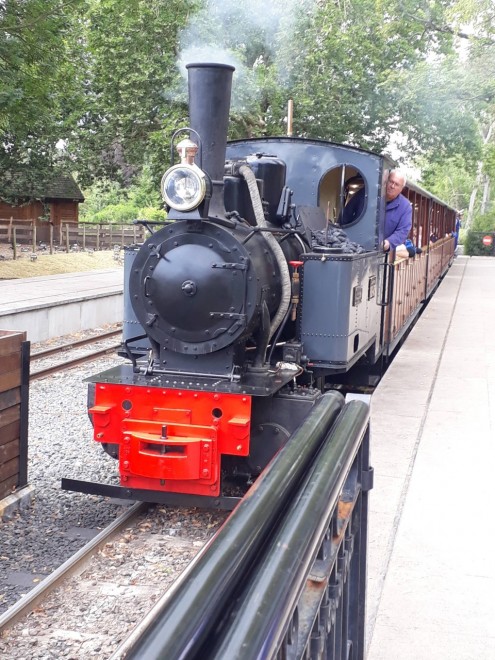 thumbnail_20190714_144817.jpg
