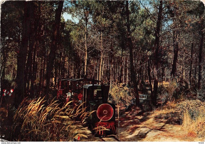 1966 00.jpg