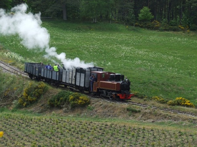 DSCF111.1.jpg