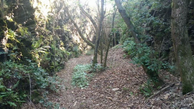 1908 Tunnel de Pavezin 0.jpg