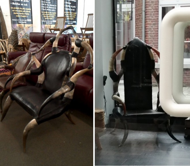 Zebu Fauteuil 1..jpg