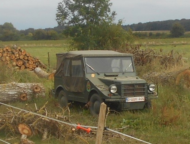 vw iltis.jpg