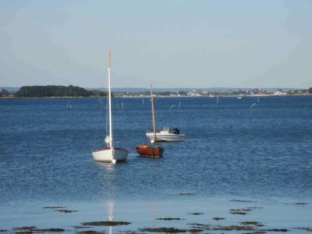 DSC03484.JPG