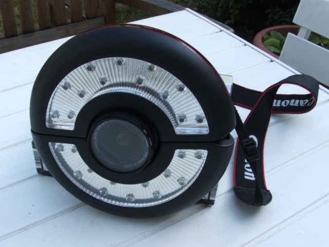 DSCF3153.JPG