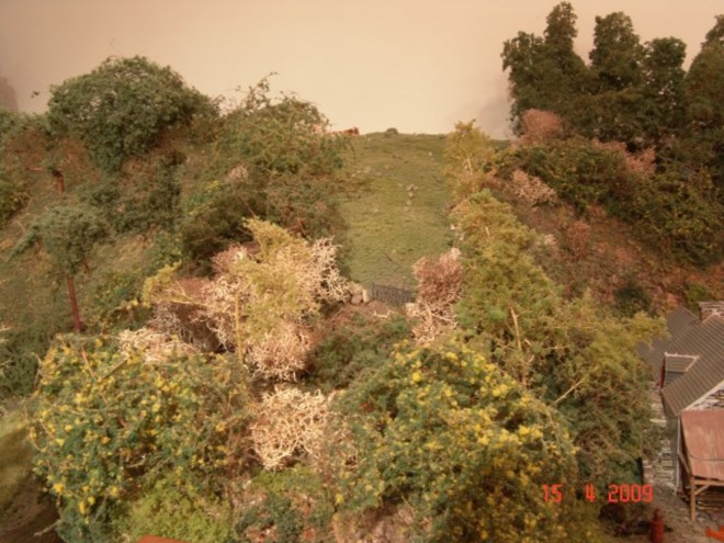 PC2009122.jpg