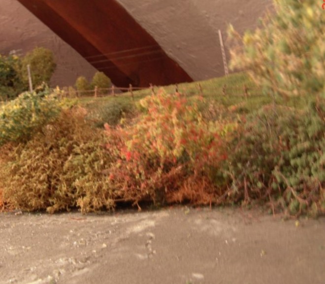 PC2009139.jpg