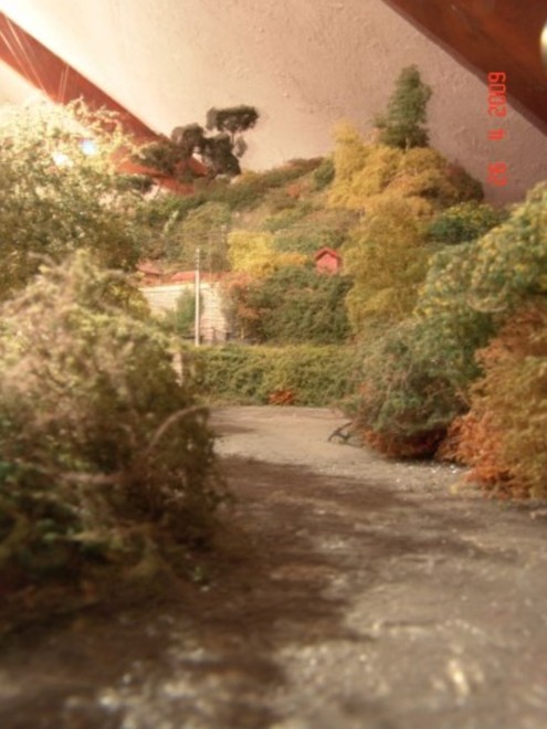 PC2009140.jpg