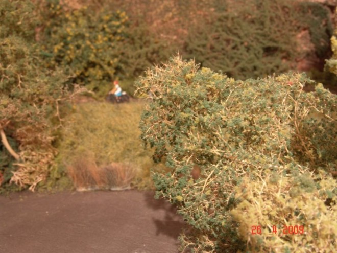 PC 2009 136.jpg