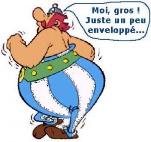 ob_5b7123_obelix.jpg