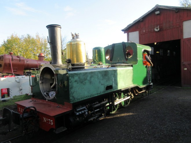 2019 11 09 ON RECONNAIT LA BETE!_05.jpg