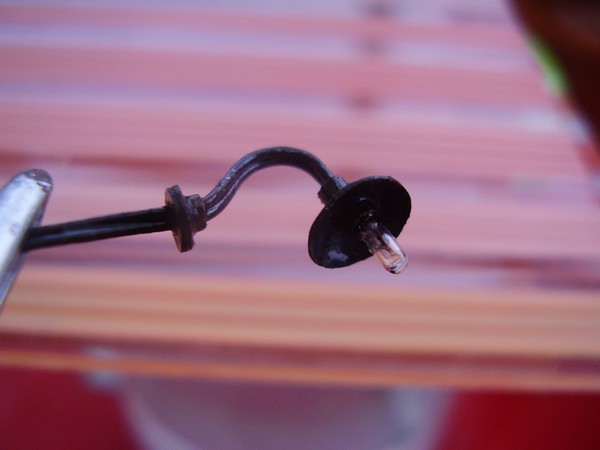 P6130203_2.jpg