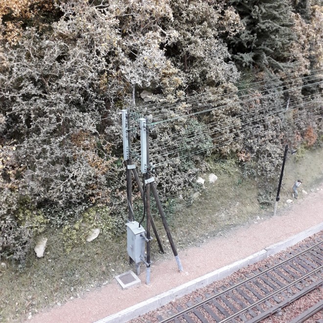 20191206_190406.jpg