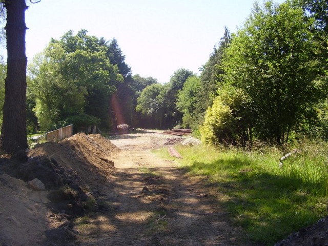 P6260324_2.jpg